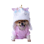 CORN DOG